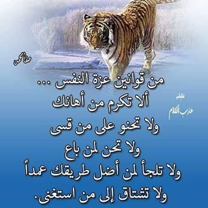 Meet your Posher, Mused